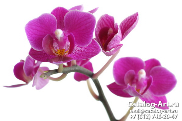 Натяжные потолки с фотопечатью - Розовые орхидеи 91